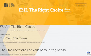 bmltexas.com screenshot