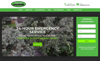 bmtrees.com screenshot
