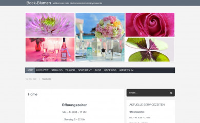 bock-blumen.de screenshot
