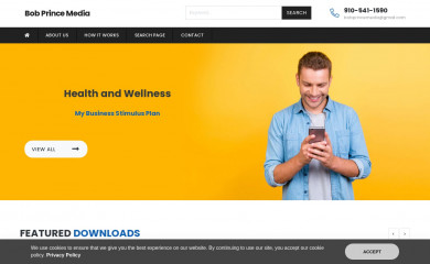 bobprince.com screenshot