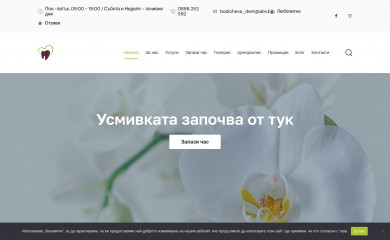 bodicheva-dent.com screenshot