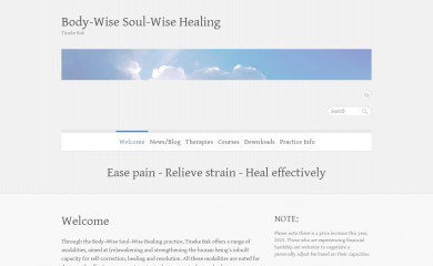 bodywisesoulwise.com.au screenshot