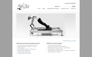 bodyartspilates.com screenshot