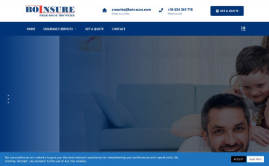 boinsure.com screenshot