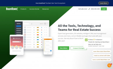 http://boomtownroi.com screenshot