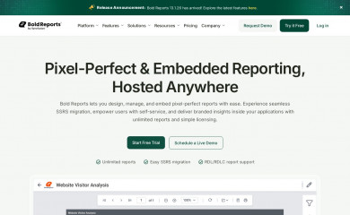 boldreports.com screenshot