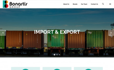 bonartisgroup.com screenshot