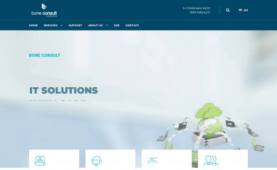 boneconsult.com screenshot