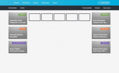 bosnamm.com screenshot