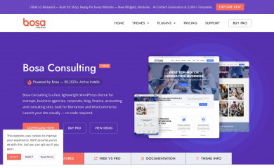 Bosa Consulting screenshot