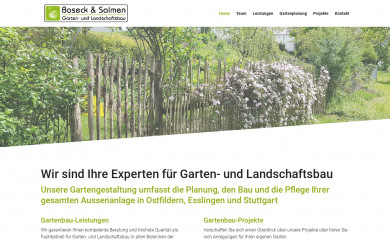 boseck-salmen.de screenshot