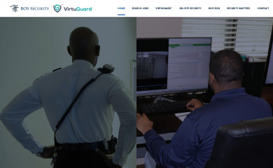 bossecurity.com screenshot