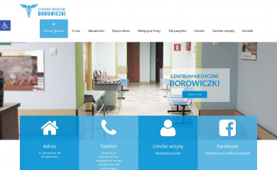 borowiczki.pl screenshot