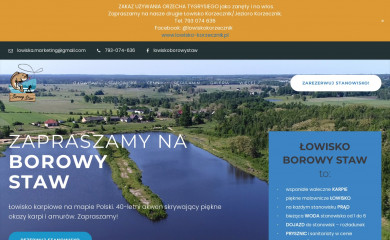 borowystaw.pl screenshot