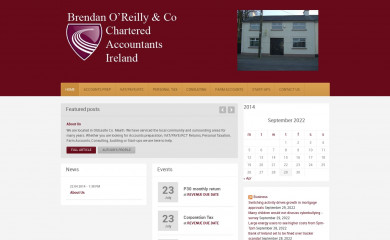 boraccountants.ie screenshot