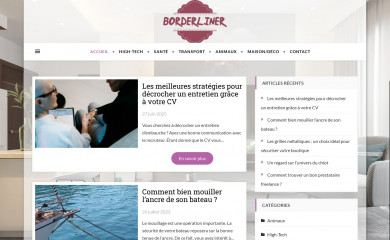borderliner.fr screenshot