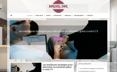 borderliner.fr screenshot