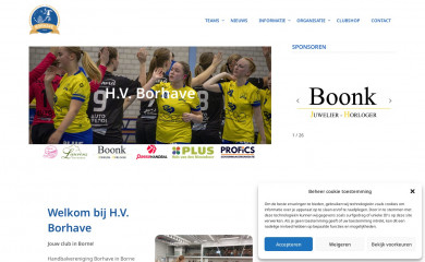 borhave.nl screenshot