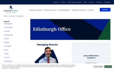 borlandinsurance.co.uk screenshot