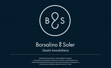 borsalinosoler.com screenshot