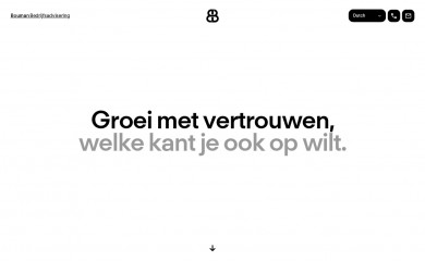 boumanbedrijfsadvisering.nl screenshot