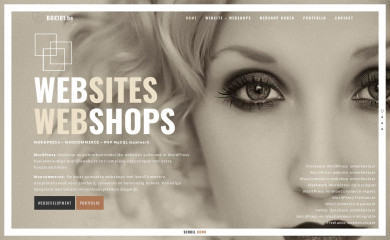 box101.be screenshot