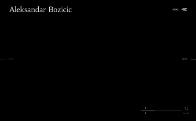 bozicic.de screenshot