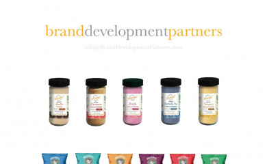 branddevelopmentpartners.com screenshot