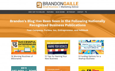 http://brandongaille.com screenshot