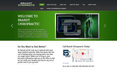 brandtchiropractic.com screenshot