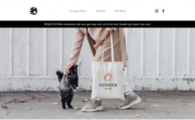brace.no screenshot