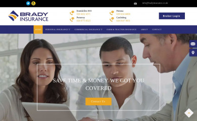 bradyinsurance.co.uk screenshot