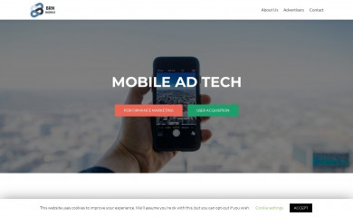 brainadv.com screenshot