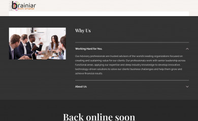 brainiar.com screenshot