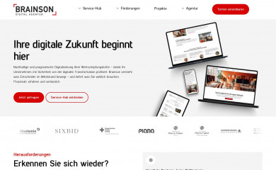 brainson.de screenshot