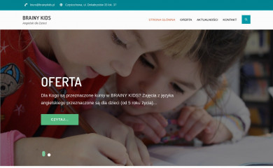 brainykids.pl screenshot