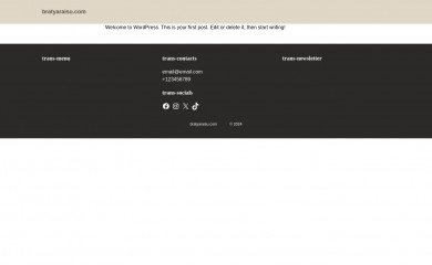bratyaraisu.com screenshot