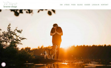 braverdogs.com screenshot