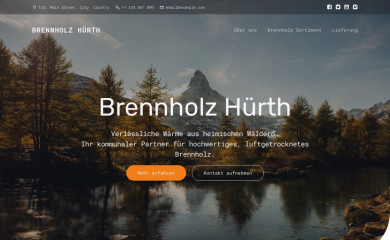 brennholz-huerth.de screenshot
