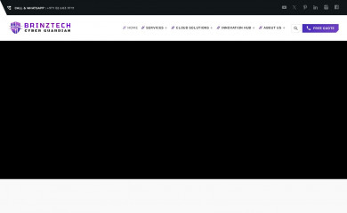 brinztech.com screenshot