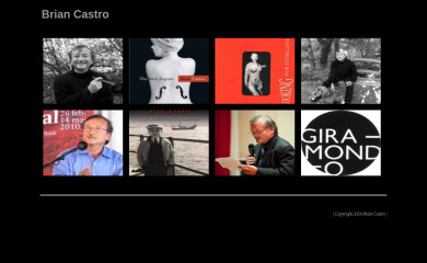 briancastro.com.au screenshot