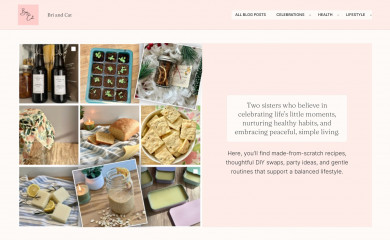 briandcat.com screenshot
