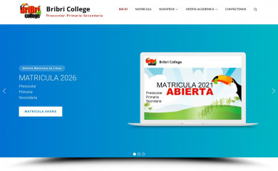 bribri.co.cr screenshot