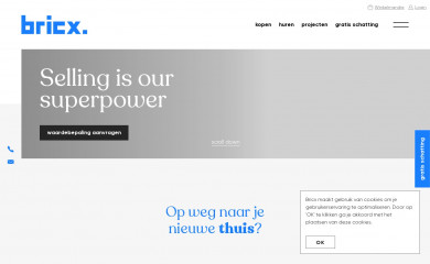 bricx.be screenshot