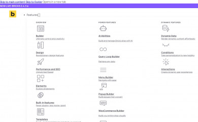 https://bricksbuilder.io/ screenshot
