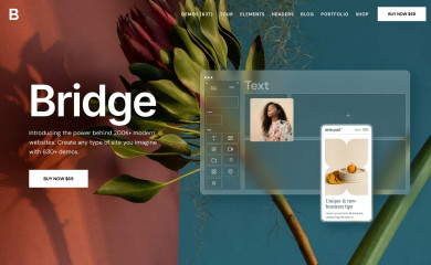 Bridge | Shared by WPTry.org screenshot