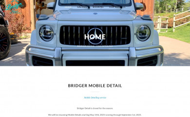 bridgerdetail.com screenshot