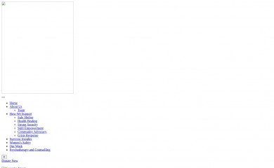 bridgetohomeorg.com screenshot