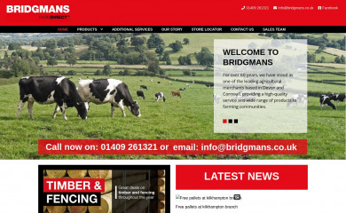 bridgmans.co.uk screenshot