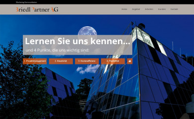 briedlpartner.ch screenshot